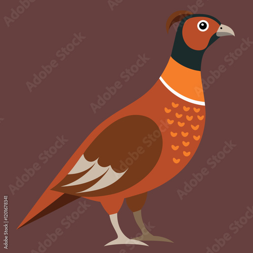 vector illustration of a bird dusky grouse