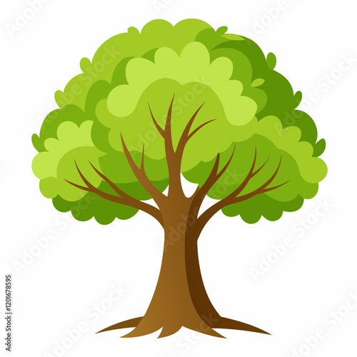 elm tree with leaves