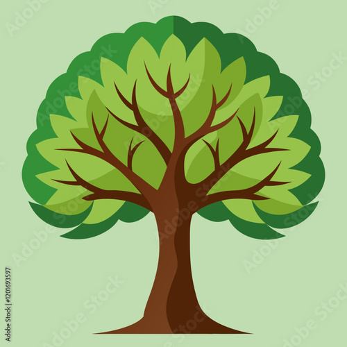 tree with green leaves sycamore
