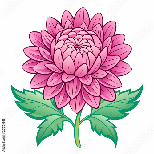 Chrysanthemum Blossom Outline with White Background