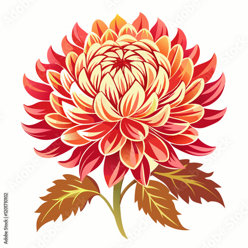 Chrysanthemum Blossom Outline with White Background