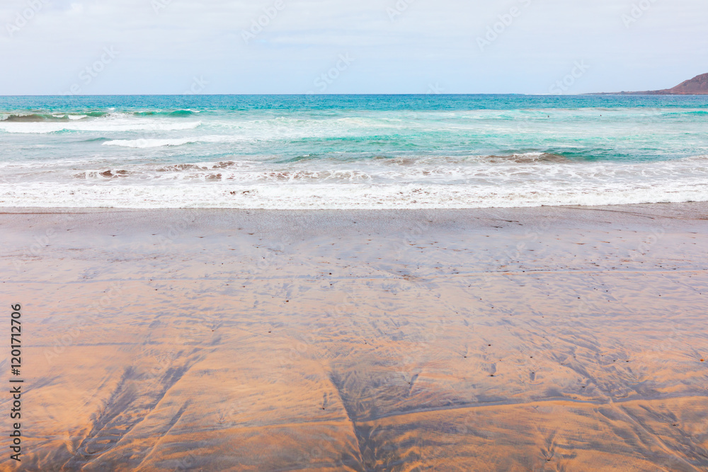 Serene view of the Pacific coast featuring a sandy beach with intricate patterns, gentle waves rolling onto the shore, and turquoise ocean waters meeting the horizon under a soft, cloudy sky