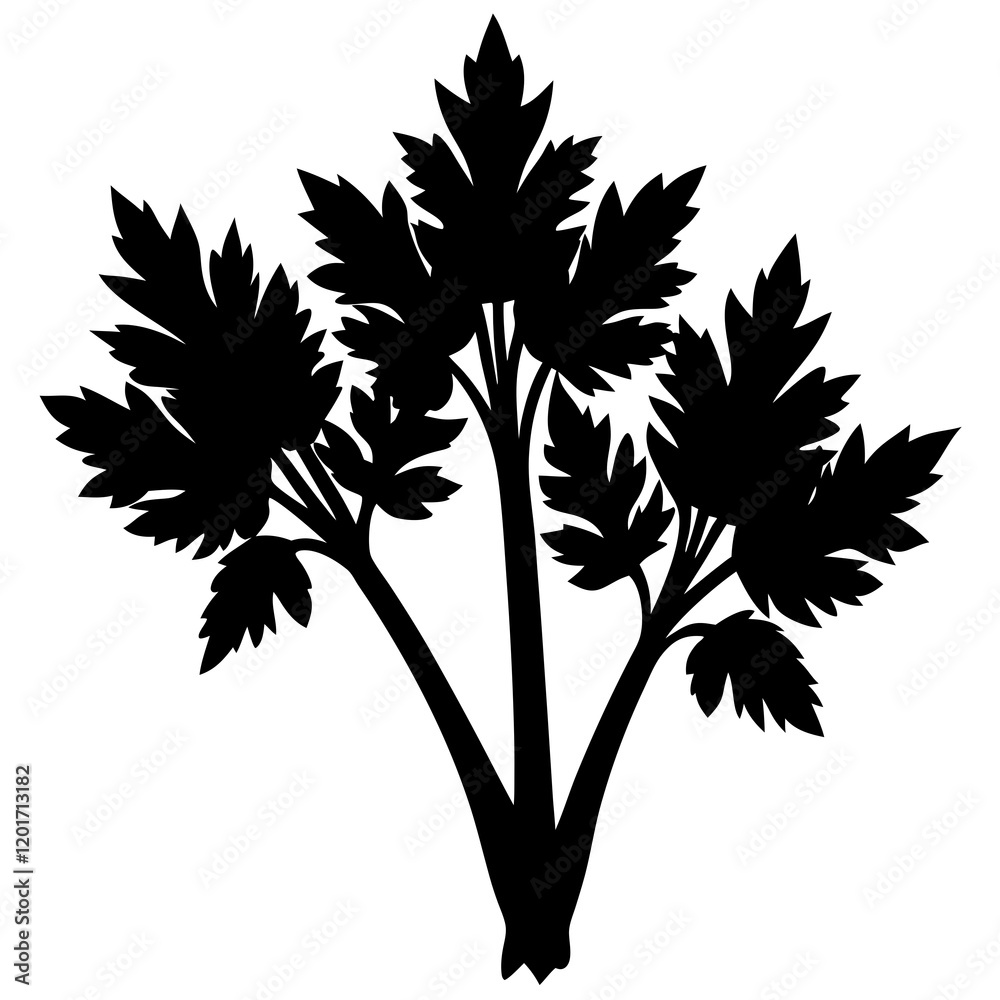 Obraz premium wild celery silhouette vector illustration