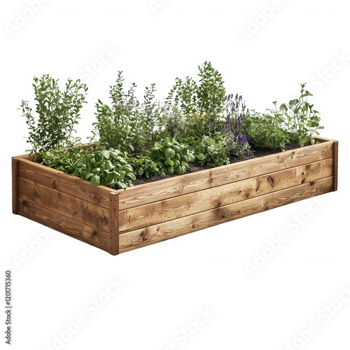 A wooden planter filled with vibrant green herbs, perfect for gardens or kitchens. photo