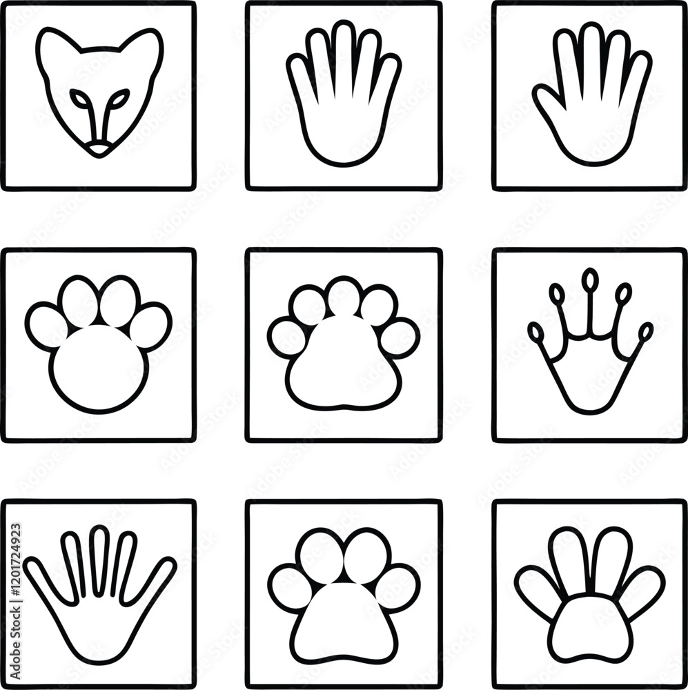Fototapeta premium Animal Tracks, Paws, Hands A Visual Comparison of Prints