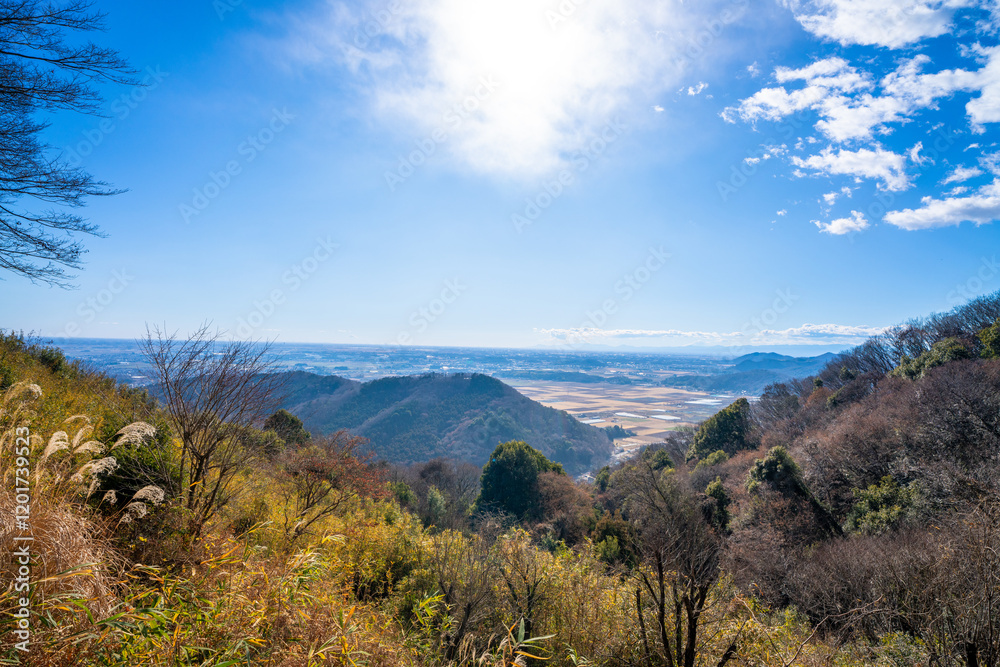 Fototapeta premium 冬の太平山から見る関東平野