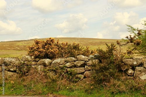 Steinmauer im Dartmoor