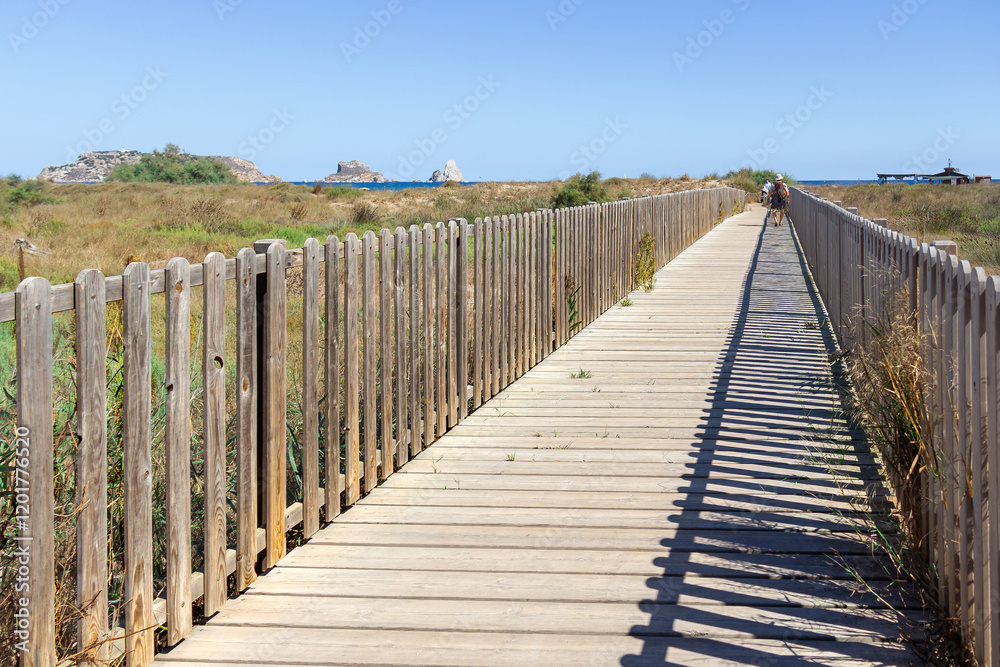 fenced wooden bridge over dunes on path leading to beach fenced wooden bridge over dunes on path leading to beach