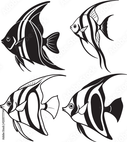 A vector image in black and white displaying three different angelfish silhouettes, highlighting their graceful shapes