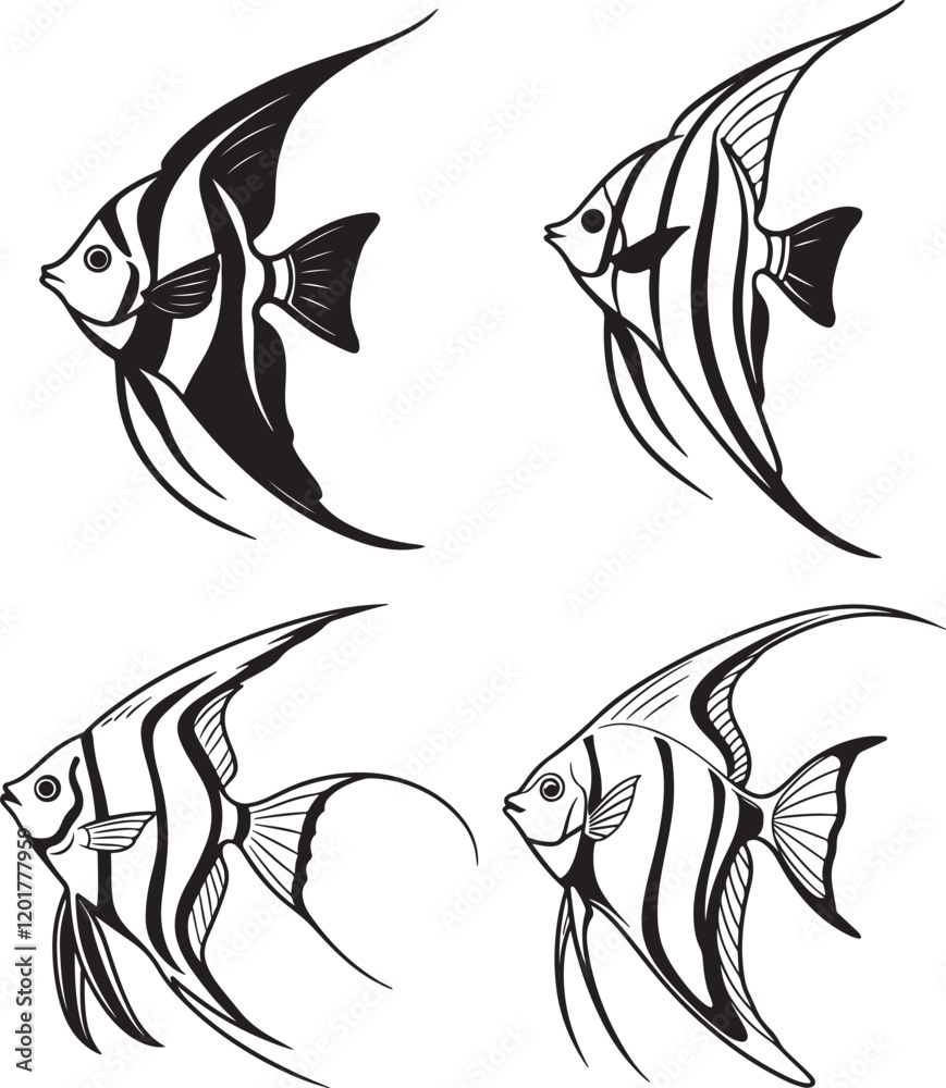 Naklejka premium A vector image in black and white displaying three different angelfish silhouettes, highlighting their graceful shapes