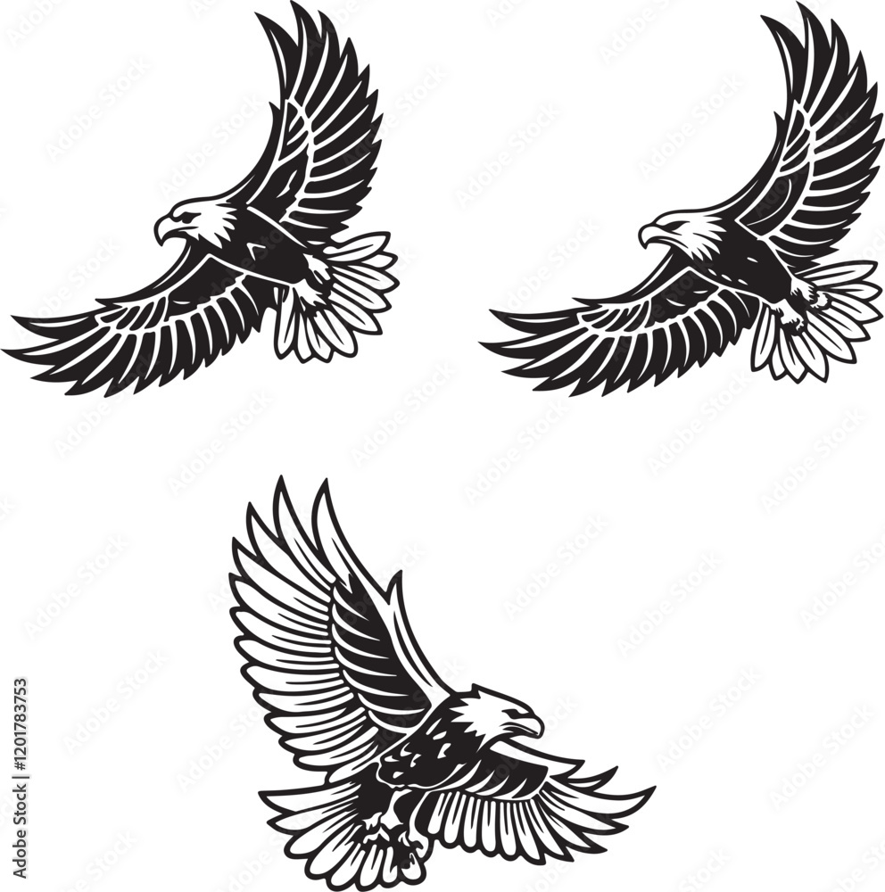 Fototapeta premium Vector illustration of a flying eagle, available for purchase at $1 USD, showcasing its majestic wingspan