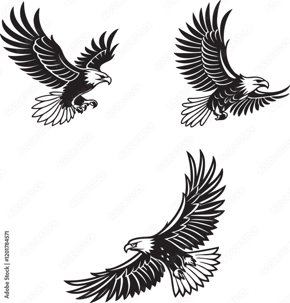 Fototapeta premium Vector illustration of a flying eagle, available for purchase at $1 USD, showcasing its majestic wingspan