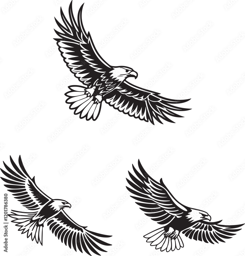 Obraz premium Vector illustration of a flying eagle, available for purchase at $1 USD, showcasing its majestic wingspan