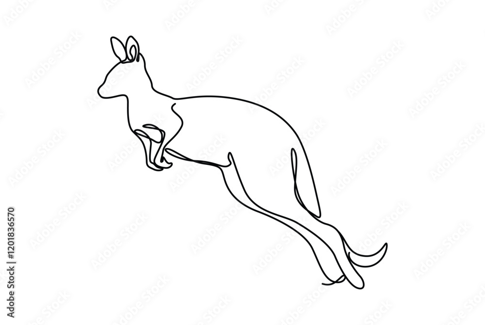 Fototapeta premium kangaroo is endemic animal from australia that has unique movement