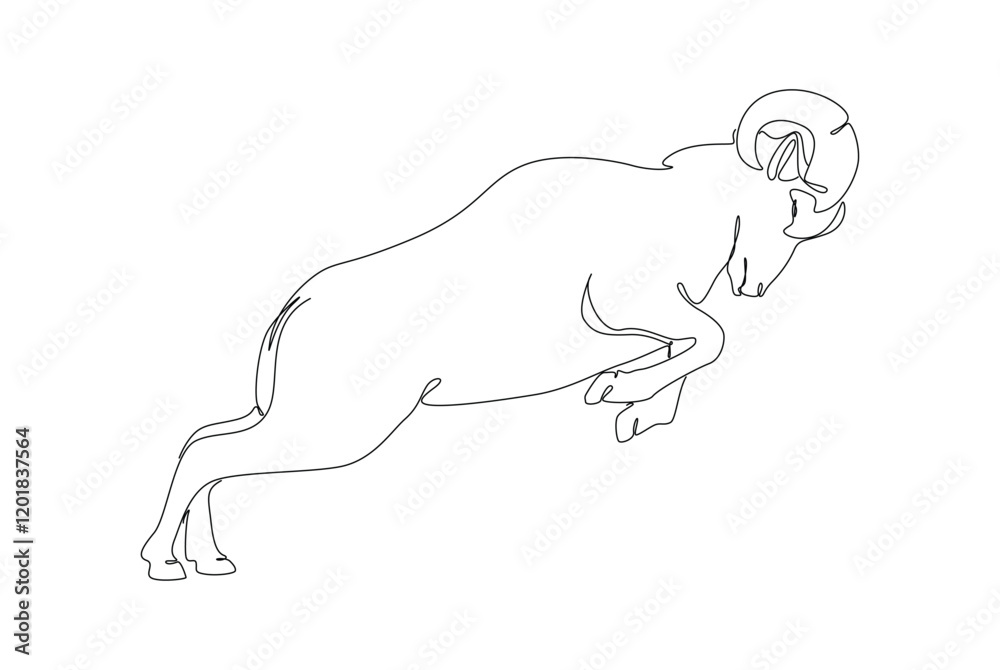Sheep butting pose to defend its teritory Sheep butting pose to defend its teritory