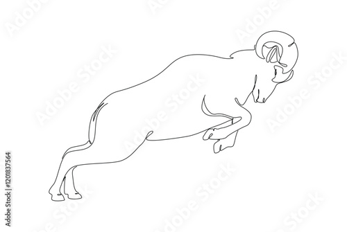 Sheep butting pose to defend its teritory