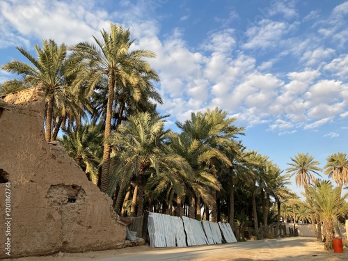 Qassim palm farms in the middle of Buraidah, Al-Sabbakh district, Saudi Arabia
 photo