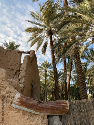 Qassim palm farms in the middle of Buraidah, Al-Sabbakh district, Saudi Arabia
 photo