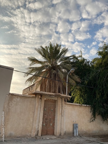 Qassim palm farms in the middle of Buraidah, Al-Sabbakh district, Saudi Arabia
