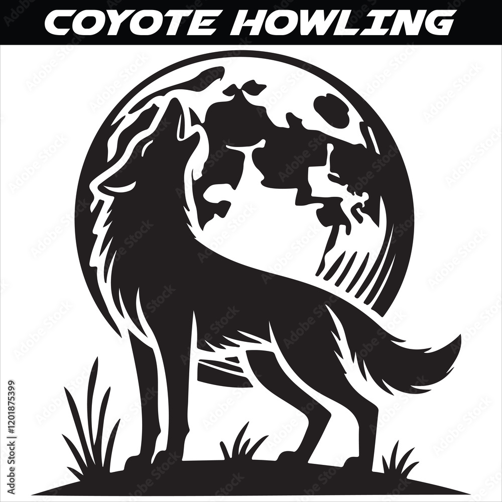 Fototapeta premium Coyotes Howl for Communication and Territory Marking in the Wild