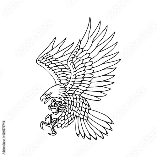 a detailed drawing of a eagle illustration photo