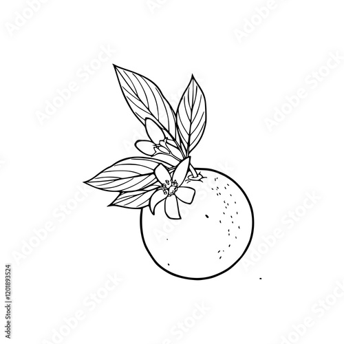 illustration of an apple with leaves