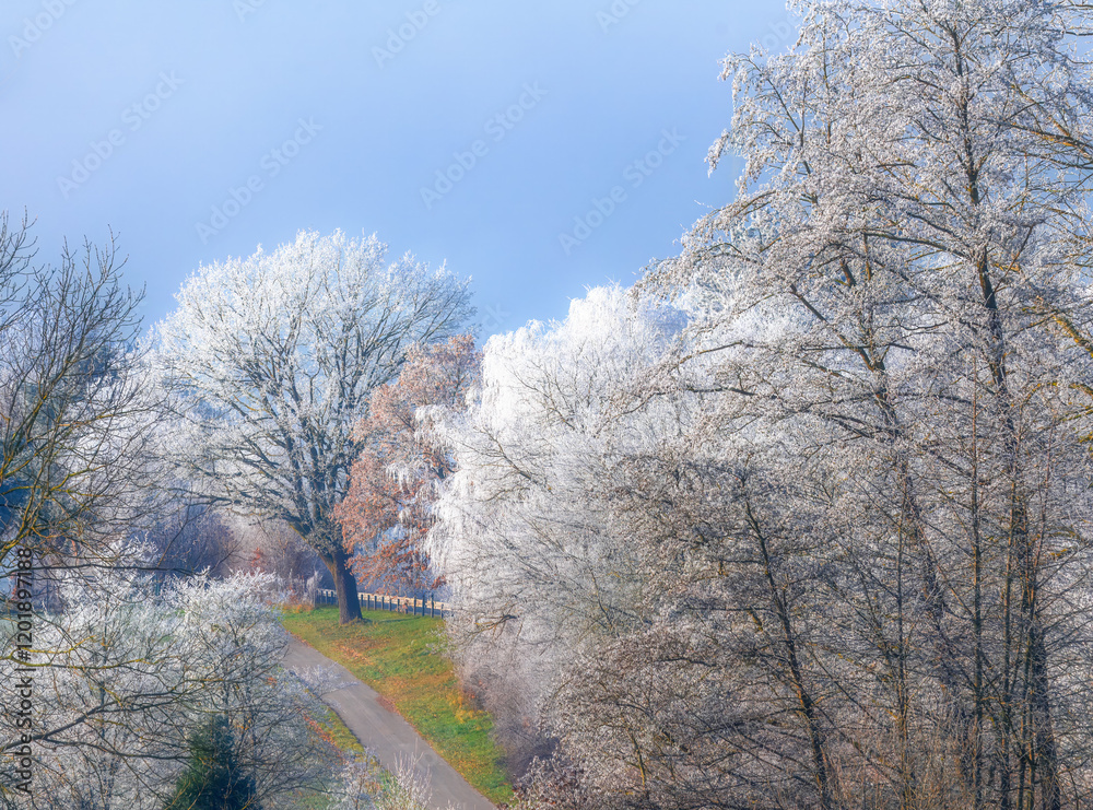 Winter landscape with frost covered trees