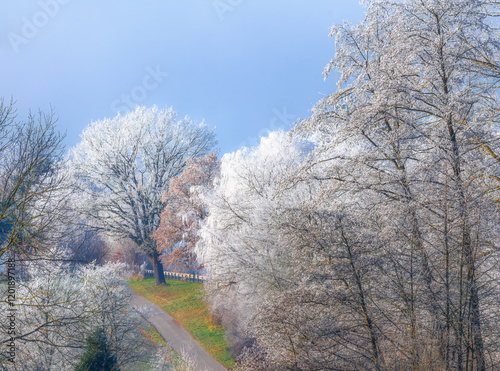 Obraz na płótnie Winter landscape with frost covered trees w salonie