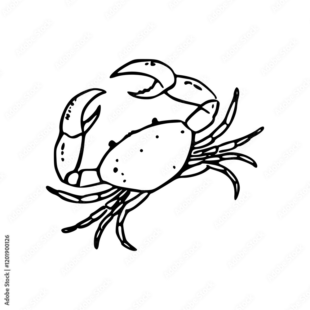 a line art drawing illustration of cartoon crab a line art drawing illustration of cartoon crab
