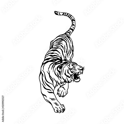 a drawing of a tiger illustration