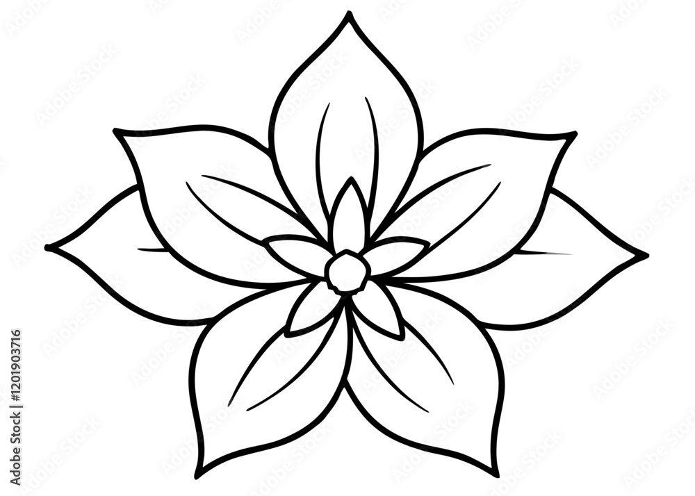 Simple line drawing of a five-petaled flower with minimalist design Simple line drawing of a five-petaled flower with minimalist design
