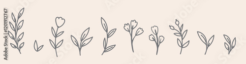 Line Art Floral Set. Hand Drawn Botanical Illustration. Leaves and Flowers Simple Elements.