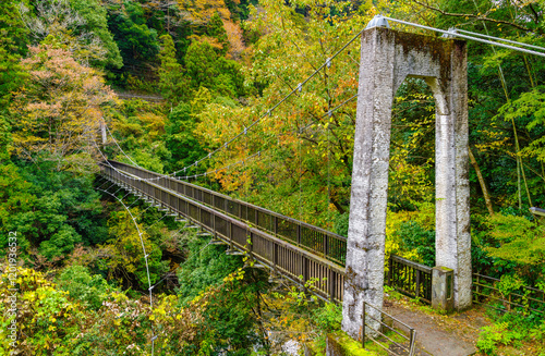 The view of Hikawa Gorge from Moegi Bridge, a pedestrian suspension bridge, showcases the vivid autumn landscape along the steep shores of the Tama River headwaters in the rural town of Okutama, Tokyo photo