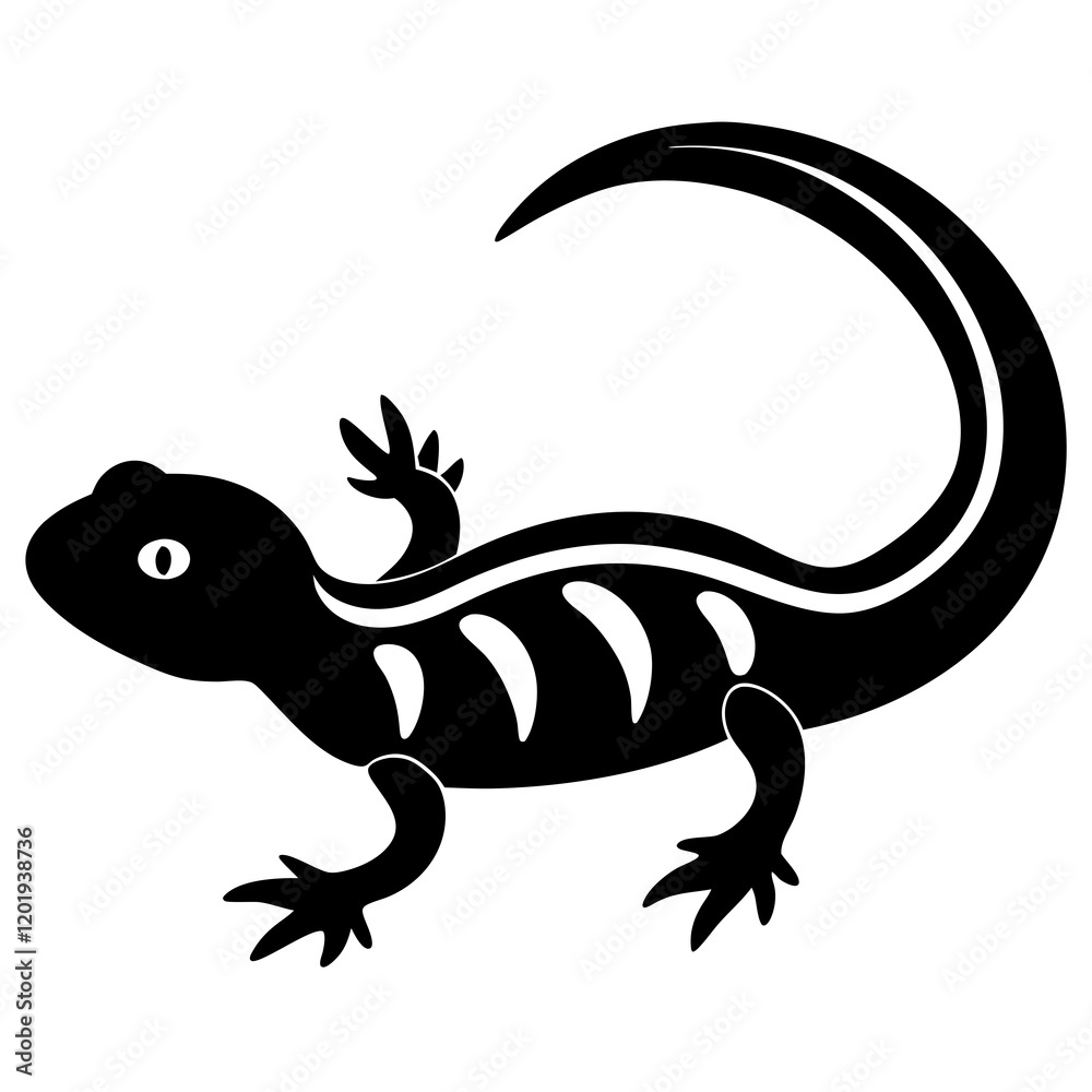 Fototapeta premium lizard on white