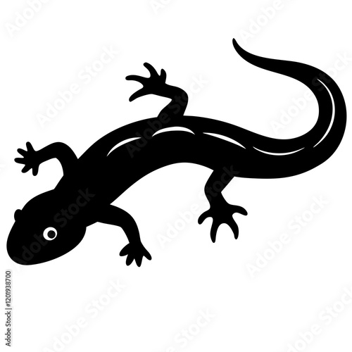 lizard on a white
