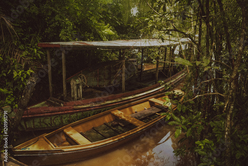 wooden bridge in the park