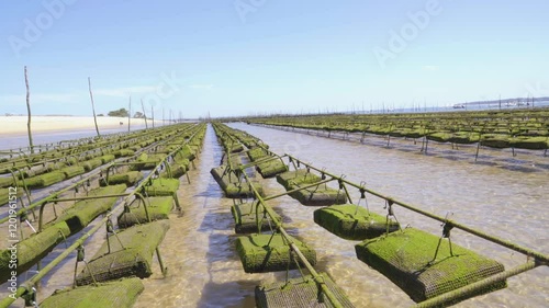 Grand Oyster Farm Park in the Sea in arcachon france