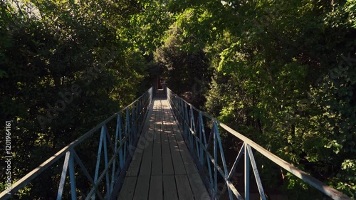 wooden bridge in the middle of the lush forest in summer