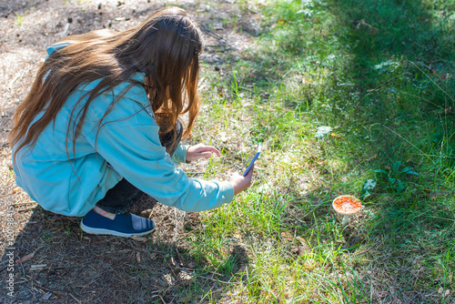 Foto Teenage girl, young woman holding smartphone, photographing fly agaric, red poisonous mushroom, hiking in forest, summer