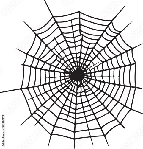 spider web vector