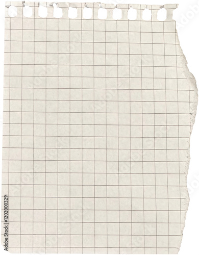 Ripped torn paper piece isolated on transparent background