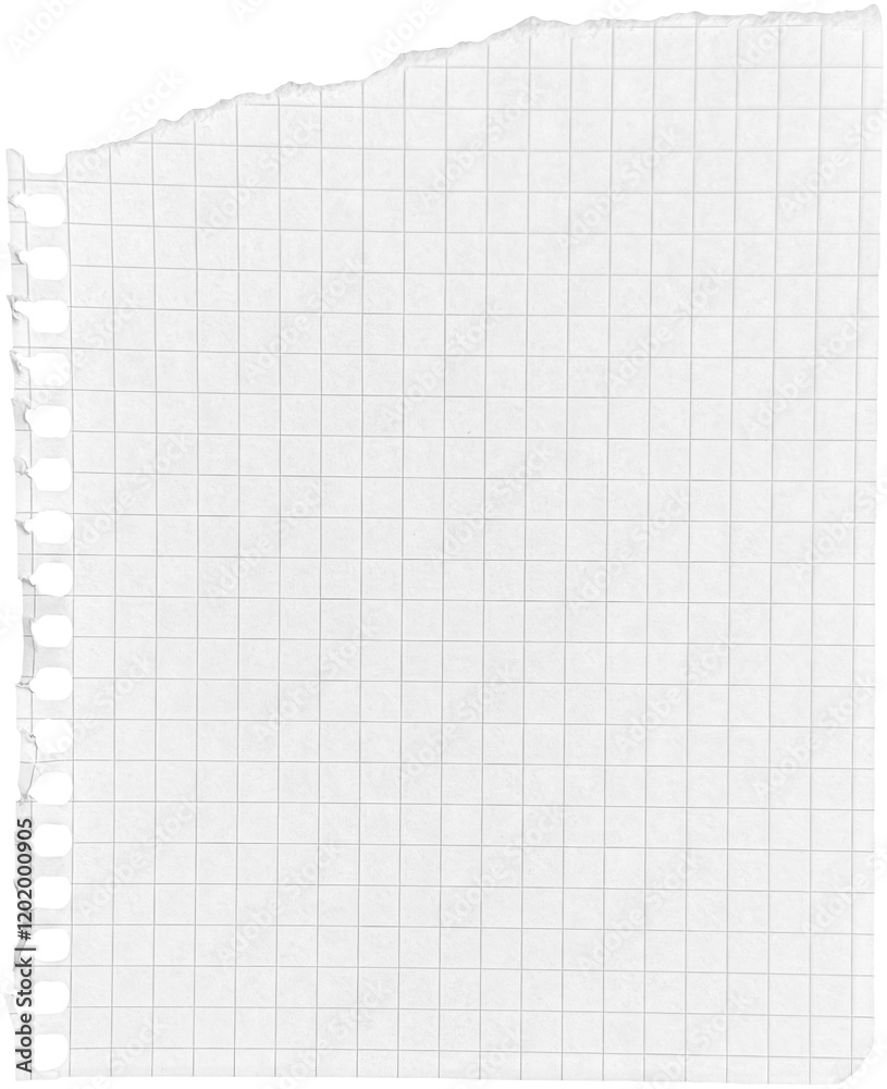 Ripped torn paper piece isolated on transparent background Ripped torn paper piece isolated on transparent background