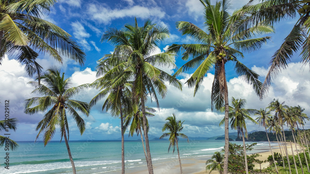 Tropical beach on Palawan Island, featuring palm trees and a clear blue ocean Tropical beach on Palawan Island, featuring palm trees and a clear blue ocean