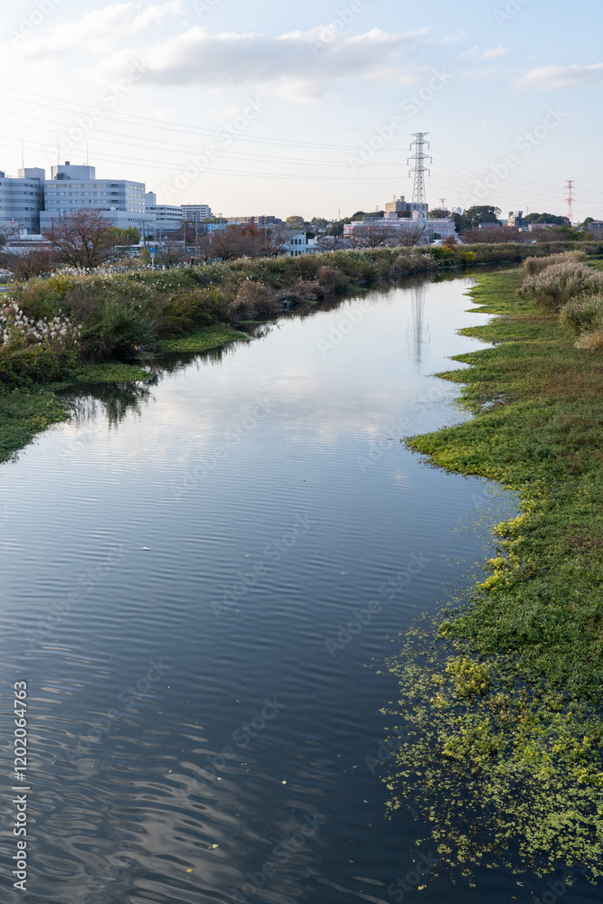 Fototapeta premium 大堀川沿いの土手散歩