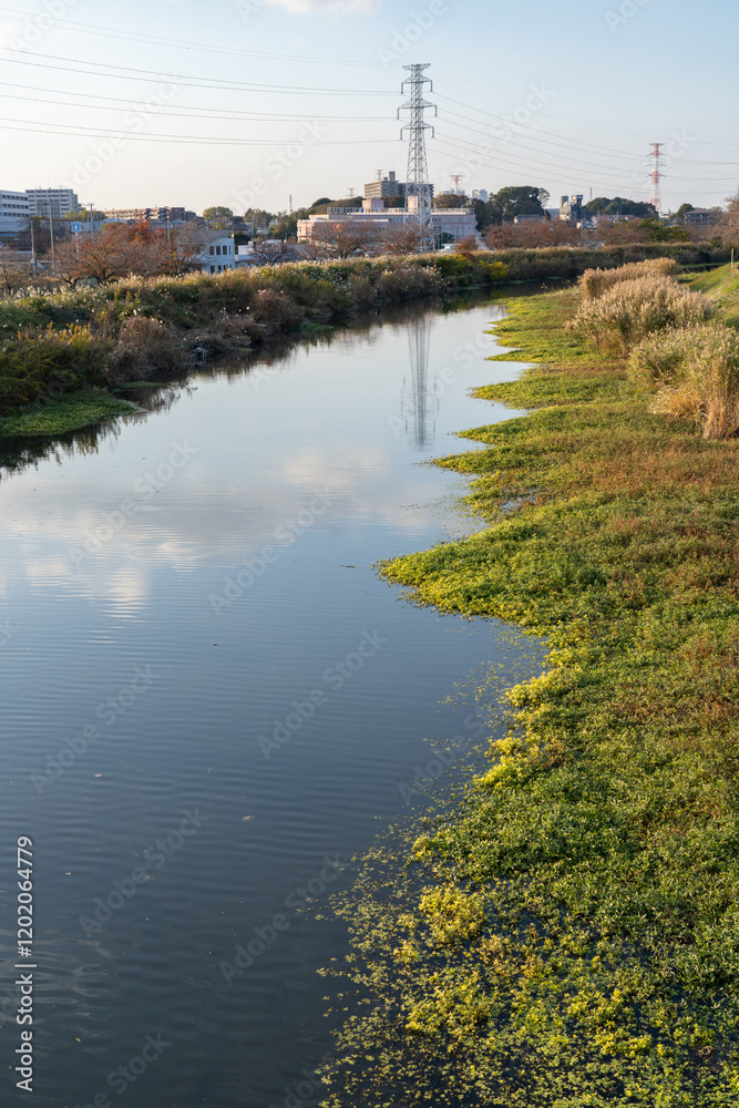 Fototapeta premium 大堀川沿いの土手散歩