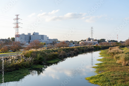 大堀川沿いの土手散歩 photo