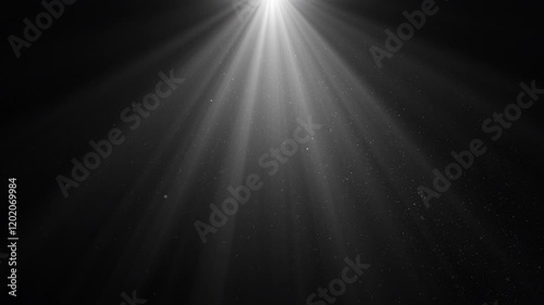 Volume Light from Top in the Dark Seamless. White Lamp Rays Shining on Black Background with Flying Backlit Dust Particles Looped 3d Animation 4k. Design Element for Overlays.