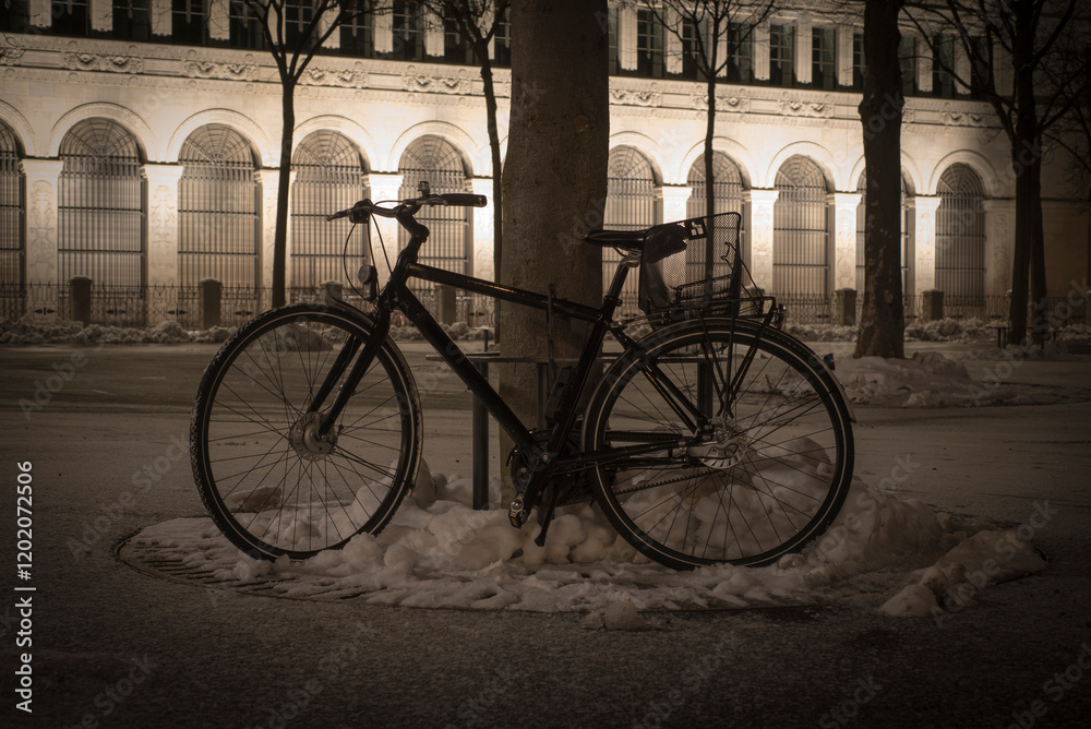 Bicycle Leaning on a Tree in Winter at Night in Zurich, Switzerland. Bicycle Leaning on a Tree in Winter at Night in Zurich, Switzerland.
