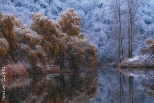 calm lake at the end of autumn, when the yellow leaves have not yet fallen on the trees, but snow has already fallen and there is a reflection on the water