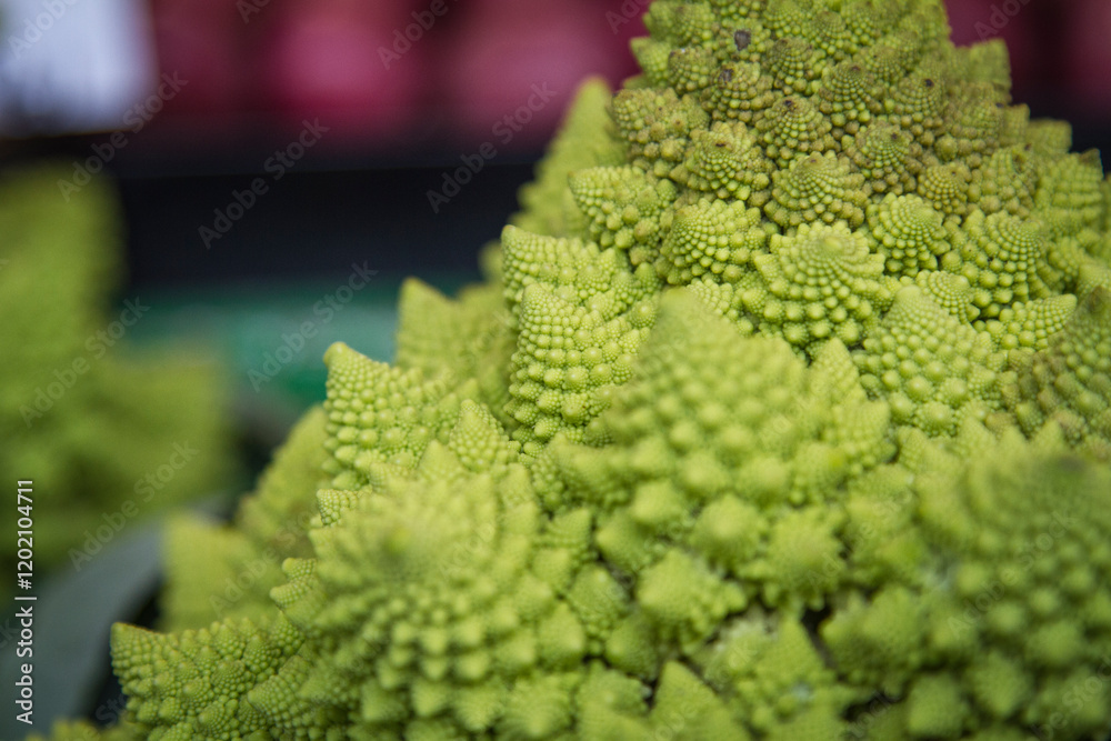 cabbage close up